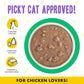Weruva B.F.F. OMG - Best Feline Friend Oh My Gravy!, Chicken & Turkey Text Me with Chicken & Turkey in Gravy, 2.8oz Pouch (Pack of 12)
