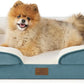 Bedsure Orthopedic Dog Beds for Small Dogs - Washable Small Dog Cat Bed Waterproof, Comfort Pet Couch Sofa with Washable Removable Cover, Pets Bed with Nonskid Bottom, Dune Haze Blue, 24"