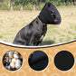Adjustable Dog Cat Cone,Soft Recovery Cat Cone Collar,Dog Protective Collar for Cats,Puppy and Dogs,Black,Large