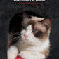 Gothic Cat Condo Cave for Indoor Cats, Spacious Indoor Coffin Cat House Bed,Large 20x13.5inch Bunk Perch, Stable Cubbie for Pets Rabbits, Halloween Red Black
