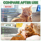 Flea & Tick Support for Cats – Natural Herbal Drops with Multivitamin – Fleas and Ticks Comfort Formula for Cat All Breeds & Ages – Bacon Flavor