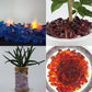 TWINKLING High Luster Fire Glass Gravel Stone,Broken Glass,Fire Pit Glass,Crushed Glass for Fireplace Pit Aquarium Garden Decoration,1-3cm,2-Pound Jar (Cobalt Blue)
