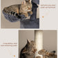Cat Tree with Large Top Perch, 21.6in Cat Tower with Big Hammock and Dual Condos, All-in-one Cat Activity Center