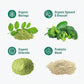Supergreens Premium Superfood Greens Drink Mix w/Chlorella, Moringa, Spinach & Broccoli + Digestive Enzymes & Probiotic Blend -Nutrient-Packed Powder Wellness (Mango Peach, 20 SRV, Travel Pack)