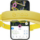 Halo Collar 4, All New GPS Wireless Dog Fence & Dog Training Collar with GPS Tracker, Subscription Required, Waterproof, One Size, Sunburst