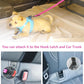 AUBELL Dog Seat Belt for Car,2 Pack Set 3-in-1 Adjustable Reflective Bungee Heavy Duty Dog Car Harness Tether with Clip Hook Latch & Buckle,Swivel Zinc Alloy Carabiner,Black+Hotpink