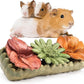 TEEWY 4PCS Guinea Pig Chew Toys, Prevent Teeth Overgrowth, Natural Vegetables and Timothy Grass, Hamster Chew Toys, Guinea Pig Toys, Chinchilla Toys, Grass Patch & Flowers