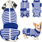 Lukovee Recovery Suit for Dogs - Zipper Onesie for Female & Male Dogs, Abdominal Wounds Cone E-Collar Alternative, Prevent Licking - Spay Recovery Suit (Small, Blue & White)