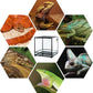 REPTIZOO 60 Gallon Glass Reptile Tank, 24" x 24" x 24" Large Reptile Terrarium Front Opening Terrarium with Double Hinge Door and Top Screen Ventilation, Easy Assembly Enclosure Tank