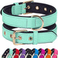 Didog Soft Padded Dog Collars for Medium Dogs, Lightweight and Breathable Dog Collar with Metal Buckle, Green, L