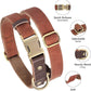 Didog Soft PU Leather Dog Collars for Medium Dogs,Classic Adjustable Dog Collars with Quick Release Metal Buckle,Easy Clean and Comfortable with Nylon Lining,M Neck 13-19"