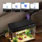 Fish Tank with Desktop Humidifier, 2.38 Gallon Quiet Eco Aquarium,Smart Touch LED Light & Temperature Display, Glass Mini Fish Tank