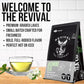 Revival Tea Company Jasmine Tea - Green Tea Blend with Jasmine Petals - 24 Tea Bags