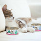 Weruva BFF Minced Natural Wet Cat Food, Tuna and Chicken Chuckles in Gelee, 3oz Can, Pack of 24