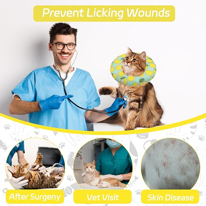 Cat Cone Collar Soft, Adjustable Cat Recovery Collars Kitten Cones to Stop Licking, Cute Donut E Collar After Surgery, Soft Cone Elizabethan Collar for Kittens (Green Lemon, Medium)