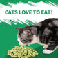 Just Try 13.4 OZ Crunchy Cat Treats Catnip Treats for Cats with Digestive Support, Natural Ingredients Kitten Treats with Real Salmon, Healthy Feline Snacks Training Biscuits Dental Care
