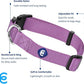 Blueberry Pet Essentials Matching Small Dog Collar | Adjustable Classic Solid Color Nylon Dog Collars for Small Dogs | Purple Dog Collar for Small Dogs