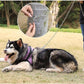 25ft Heavy Duty Chew Proof Dog Tie Out Chain Leash with Shock Absorbing Spring&Lockable Hooks-Up to 200Lbs,Use for Yard,Garden,Camping or Travel