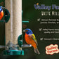 Valley Farms White Millet Wild Bird Seed 5 LB 2-Pack (10 LB Total) for Outside feeders, White proso Millet, Bird Watcher Secret Wild Bird Food