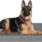 Jumbo Human Dog Bed, Orthopedic Memory Foam Pet Mat, Washable Dog Crate Bed with Cooling Gel, Removable Cover & Waterproof Lining