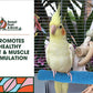 Comfort Grip Safety Perch for Bird Cages - Pedicure Perch for Birds to Keep Nails and Beaks in Top Condition - Safe Easy to Install Bird Cage Accessories - X-Small 4.5"
