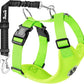 SlowTon Dog Seat Belt Harness for Car, Dog Car Harness Adjustable Mesh Breathable & Dog Seatbelt Safety Tether with Elastic Bungee for Small Medium Large Pets(Lime, Double Clip, XS)