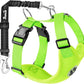 SlowTon Dog Seat Belt Harness for Car, Dog Car Harness Adjustable Mesh Breathable & Dog Seatbelt Safety Tether with Elastic Bungee for Small Medium Large Pets(Lime, Double Clip, XXS)