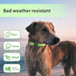 PcEoTllar Light up Dog Collar for Night Walking - LED Dog Collar Light Rechargeable Color Changing, Glow in The Dark Dog Collars Waterproof Glowing Dog Collars for Large Small Medium Dogs