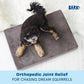 Barkbox Orthopedic Dog Bed with Memory Foam, Premium Comfort for Dogs and Puppies, Dog Beds for Joint Relief and Restful Sleep, Durable and Easy to Clean - Grey, Medium