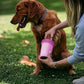Dexas MudBuster Portable Dog Paw Washer/Paw Cleaner, Medium, Fuchsia