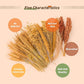 ZIPPYPET Hamster Sprays and Forage Accessories for Cages, Pet Mouse Decor Textures (7)