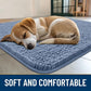 Smiry Dog Door Mat for Muddy Paws 36x24, Absorbs Moisture and Dirt Doormat, Non-Slip Washable Quick Dry Chenille Front Door Mat Indoor Entrance, Entryway Carpet for Inside Floor, Airy Blue