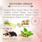Térapy Ceylon GINGER & HONEY Tea | Organic Herbal Tea Bags | 100% Natural Ayurvedic Ingredients Including Organic Ginger, Wild Bee’s Honey, Ashwagandha & Lemongrass | 20 Individually Wrapped Tea Bags