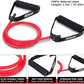 Resistance Bands with Handles and Door Anchor, Gym Resistance Tubes for Strength Training, Exercise Bands for Working Out, Physical Therapy, Home Workouts, Pilates & Crossfit