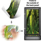 REPTI ZOO 18" x 18" x 36" Front Opening Chameleon Cage with 3-Sided Metal Mesh, 50 Gallon Screen Vertical Terrarium with Background Sticker, Tall Enclosure for Chameleon, Tree Frog, Arboreal Reptiles
