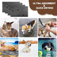 Chumia 4 Pcs Dog Towels for Drying Dog Puppy Bulk Microfiber Absorbent Paw Towel Pet Bathing Supplies Quick Drying for Medium Cats Pets Shower(24 x 40 Inch,Gray)