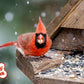 Valley Farms Fruit Nut & Berry Wild Bird Food for Outside Feeders, Bird Seed with Dried Fruit, Peanuts, Sunflower, and Safflower, High Energy Mix for Healthy Birds! (15 LBS)