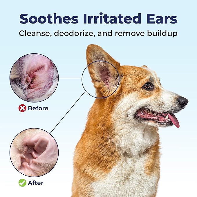 Vetnique Oticbliss Advanced Cleaning Ear Wipes for Dogs for Odor Control, Dirt and Wax Removal with Soothing Aloe Vera, Salicylic Acid & Vitamin E, (Ear Cleaning Wipes, Advanced Cleaning Large)