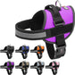 Dogline Dog Harness, Reflective No-Pull Adjustable Vest with Handle for Walking, Training, Breathable, No - Choke Harness for Small, Medium or Large Dogs Room for Patches Girth 27 to 34 in Purple