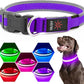 LED Dog Collar, Light Up Dog Collar USB Rechargeable, Brightest Dog Lights for Night Walking, Adjustable Dog Collar Light for Dog Safety (Purple, Medium)