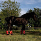 Warrior Fly Boots for Horses - Breathable Mesh Horse Boots for Fly Protection & Leg Comfort - Set of 4 (Knight Warrior, Neon Pink)