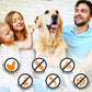 Emmy's Best EBPP Chicken Jerky Dog Treats Made in USA - 100% Natural Jerky Treats Made with Real Chicken - Grilled Chicken Strips for Medium Dogs, Large and Small Dogs