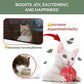 JAYU PET Active Catnip Spray - High Potency Transparent Liquid Spray made of Fresh Organic Catnip for Indoor Cats and Kittens, Relieves Stress, Calming, Revives Toys (1fl oz) (Catnip Spray, 1fl oz)