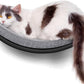 Curved Cat Wall Hammock Bed with Grey Foam Cushion – Floating Cat Wall Shelf Nest for Climbing, Sleeping & Lounging