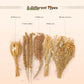 ZIPPYPET Hamster Sprays and Forage Accessories for Cages, Pet Mouse Decor Textures (5)