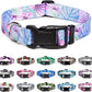 Mercano Adjustable Dog Collar - Special Design Patterns, Soft Nylon Comfortable Durable Pet Collar for Small Medium Large Dogs (S, Floral Purple)