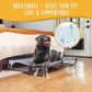 Daisy Cot, Large Foldable Elevated Dog Bed, Portable Raised Outdoor Folding Dog Cot, Cooling, Chew Proof, Waterproof, Heavy Duty Up to 160 lbs for Camping/Home, Grey, 43"x 27"x7"