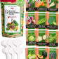 HOME GROWN 12 Winter Vegetable Seeds 𝗡𝗢𝗡-𝗚𝗠𝗢 Heirloom,Fall & Winter Vegetable Seeds for Planting Home Garden: Bean, Beet, Broccoli, Cabbage, Carrot, Cauliflower, Kale,Parsnip,Squash,Chard & More