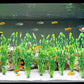 MyLifeUNIT Artificial Seaweed Water Plants for Aquarium, Plastic Fish Tank Plant Decorations 10 PCS (Green)