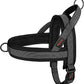 Didog No Pull Dog Harness with Breathable Mesh Padded, Full Reflective & Quick Fit Adjustable Vest Harness, Easy for Training Walking for Small & Medium and Large Dogs (Black, M:Chest 21-26")